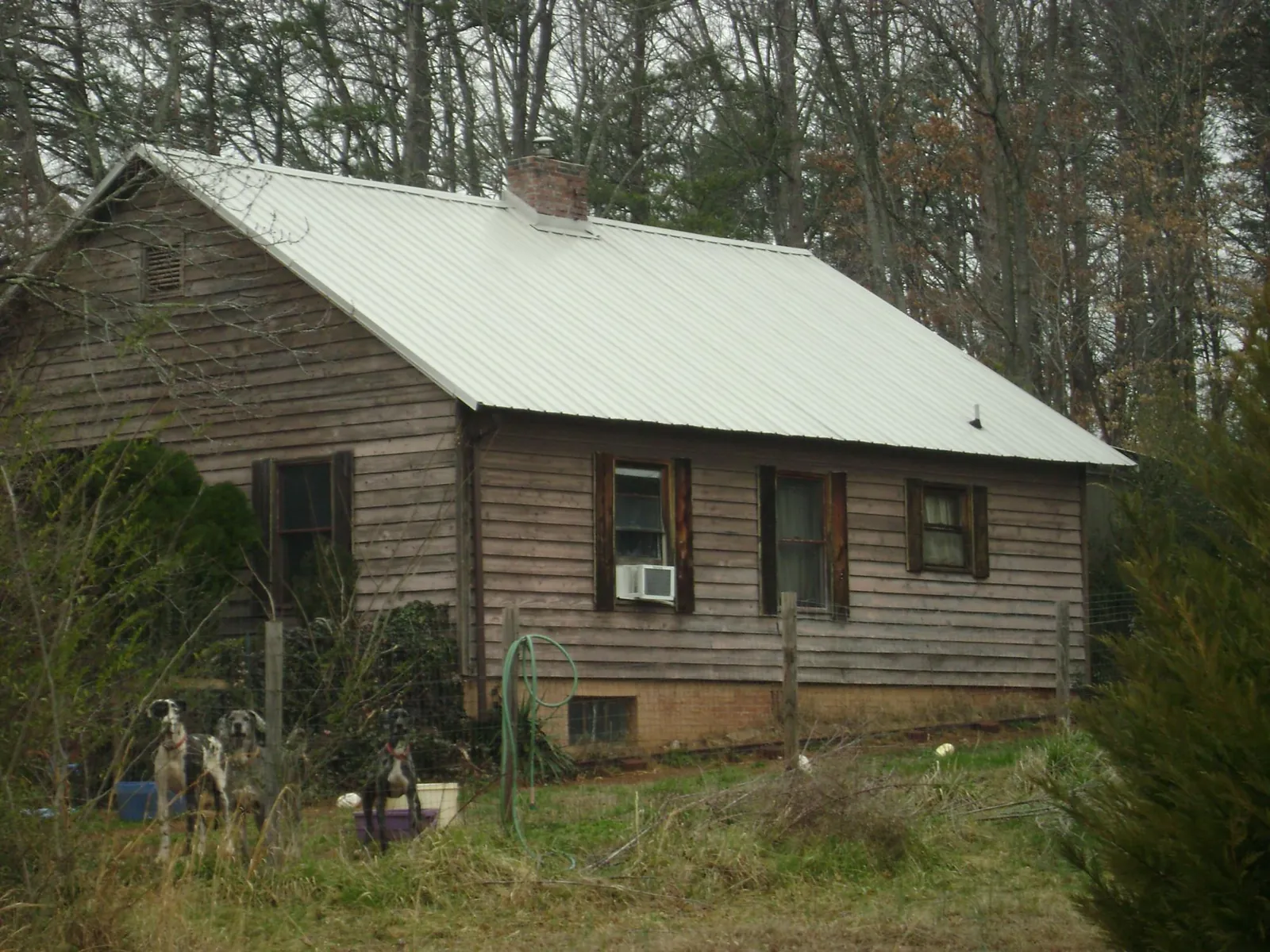 White metal roof on an old wood sided farmhouse, from a Asphalt Shingle Roof Repair job in Springville